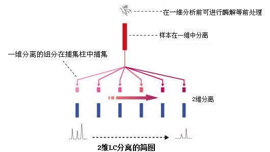 Prominence nano