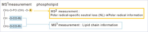 LCMS-IT-TOF